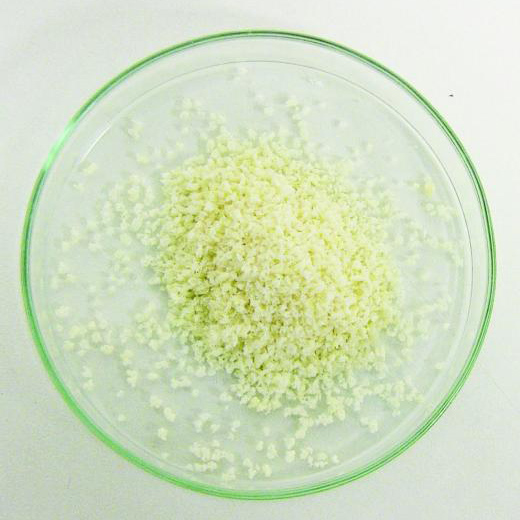 SMARTBONE MICROCHIPS, 1-2mm, 0,5 gr