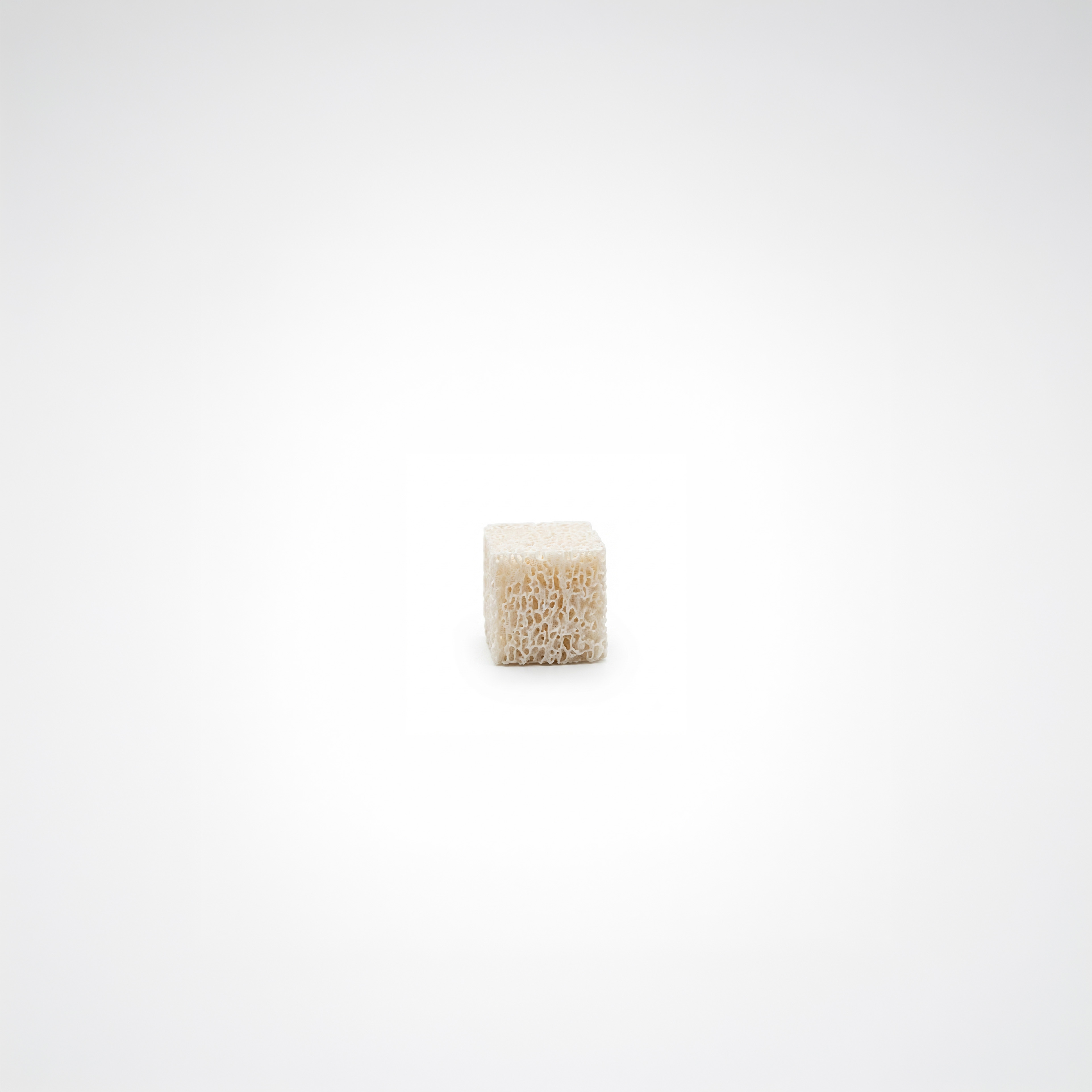 XENYS MATRIX CANCELLOUS BLOK 10 X 10 X 10 mm - 1 AD