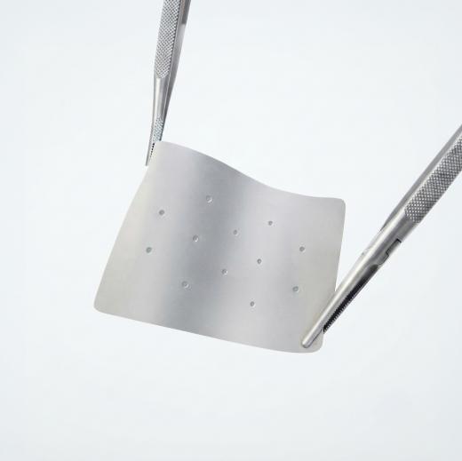 BIORIPAR MEMBR BOVINE PERIC DRY 20 x 30 x 0,2mm,- 6 AD