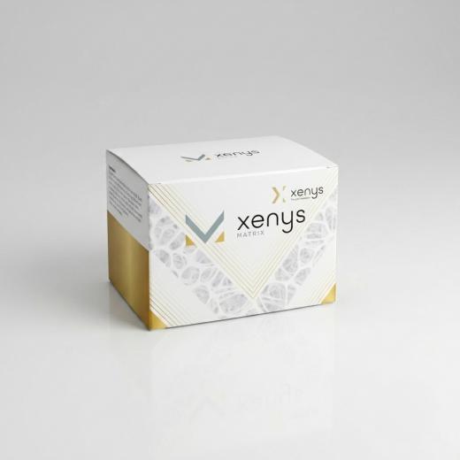 XENYS MATRIX MIX GRANULES (0.25-1 mm) 2,0cc - 6 AD